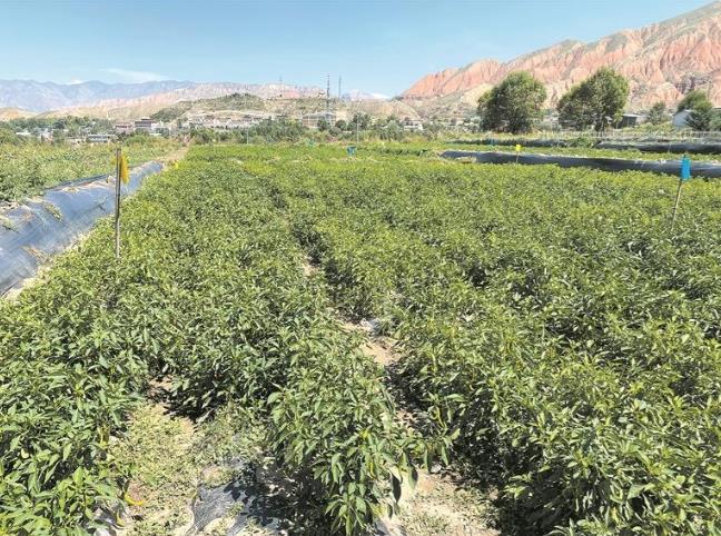 ���l�����d���ຣ���Ƽ��x�ܣ����g���^�Y�������չ���