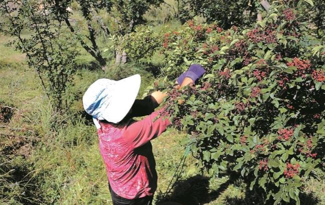 �ຣ�����ݣ������h�����¸�