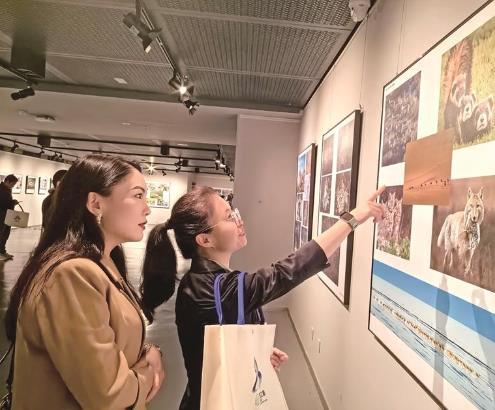 ������ѩ��֮�������B�zӰչ�e�k