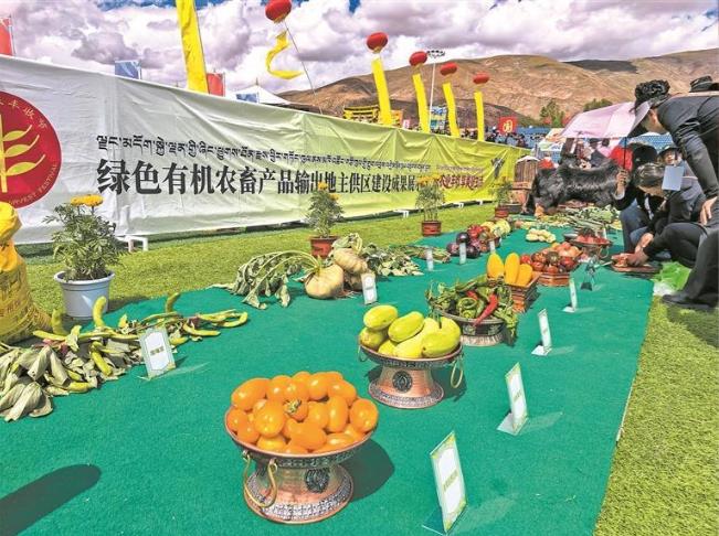 【慶農業豐收 享美好生活】金秋高原,共譜豐收贊歌——青海各地喜迎第八個“中國農民豐收節”