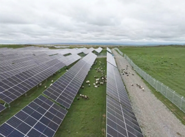 綠電引擎啟動(dòng) 黃河公司光伏裝機(jī)容量增加至1391.82萬千瓦