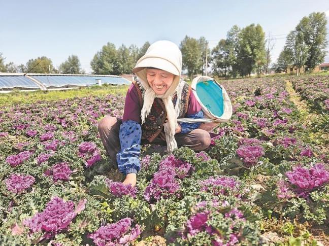 ����Դ���^��������̖������߲ˡ��r����ӛ