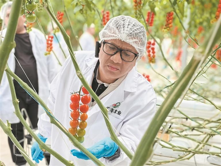 һ�����\�lչ��ɽ��֮�s����ӡ�ጣ�I���F�h�ɲ�����F�L��Ҋ