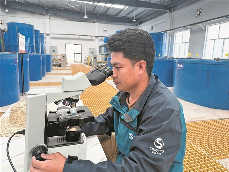 【家住黃河源】電送千里外 魚安源頭處