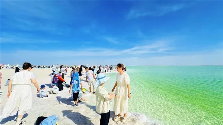 ���c������ڸ�ľ�нӴ��οͳ�11.6�f�˴� ͬ�����L36.41%