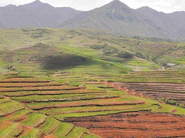 ������Ұ�؂}�[�������ڵ�45������Zʳ�յ���֮�H