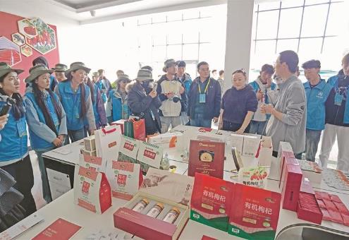 һ�w�t��轵�ȫ��֮�á����ຣ��ľ�ЌW(xu��)���i�a(ch��n)�I(y��)�ں��ܴa