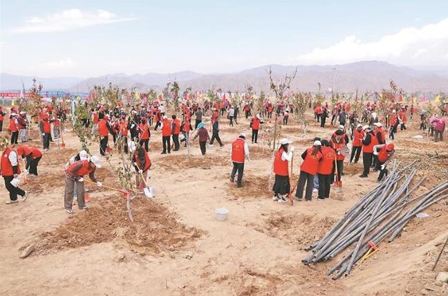 ��ɽ��ͬ�� �����ຣ�����Kʡ������Ԯ��ɲ��˲��e�����}�h���ߡ��K�����x�֡�ֲ����