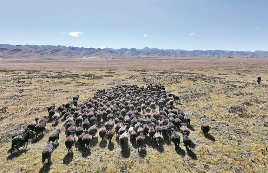 �ڲ���a�I�����F���l�����d