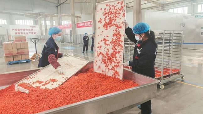 ���轼t�S��æ