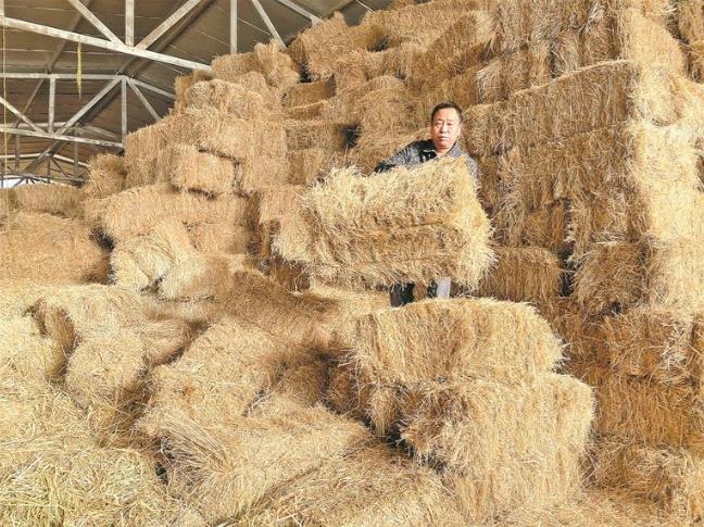 ���Զ����� ���ɠ��ȡ��^����á�ʮ���塱�չّ��ຣ�Ɏ�h��������ţԽ�������o����