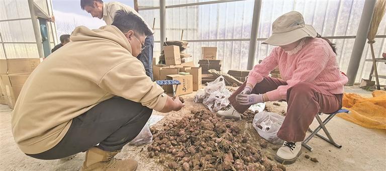 ������ȫ�������ڻ��ӡ������󽪡���ζ����Ȧ