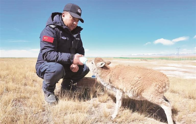 微信圖片_20251110062720_233_174