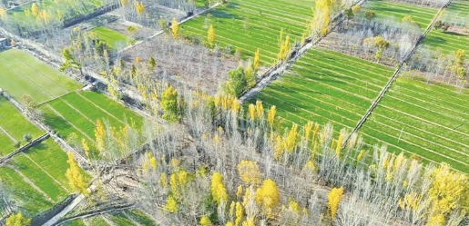 �������ຣ�����h3500����С���MĿ��G