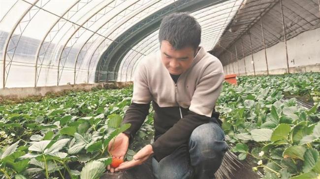 ������ȫ�������ڻ��ӡ����ļ�ݮ�㡱�����l(xi��ng)�����d