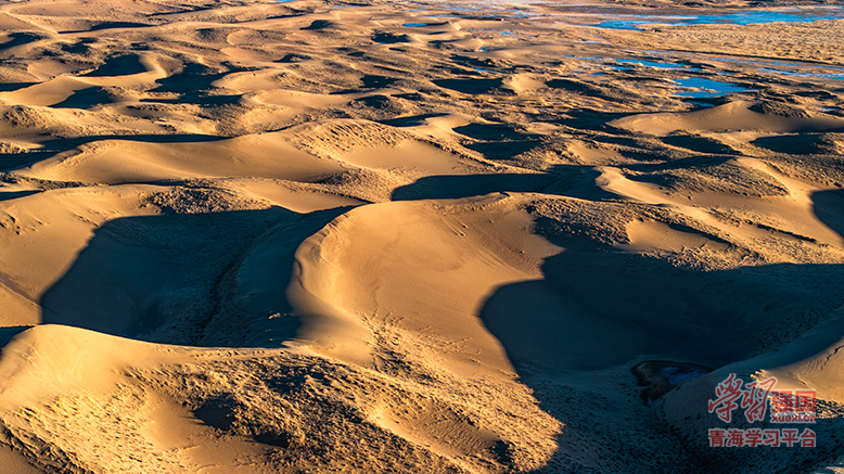 ��Į��퍣���ɳ���̣��������@���������