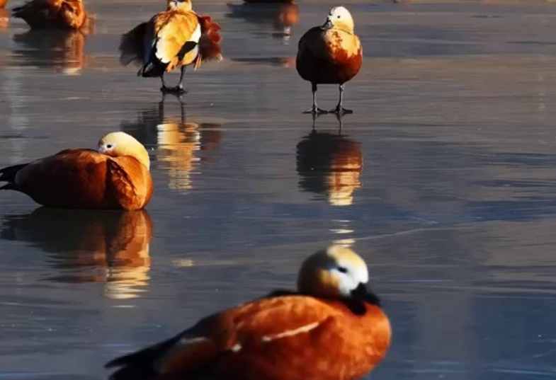 �ຣ���̣�ӭ����ȺԽ��������