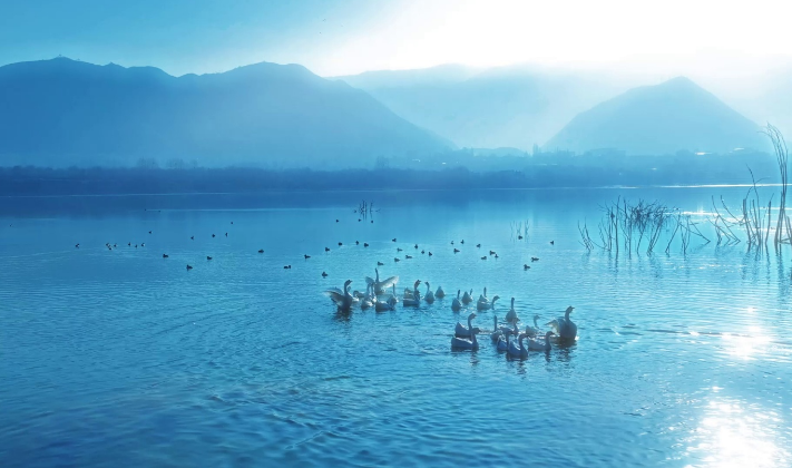 �ຣ���������Z���]���ˮ ���ռ���չ����