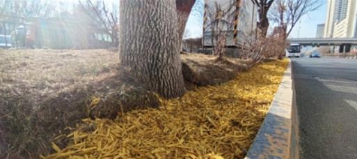 �ຣ�����У���ϲ�ɫ����̺�����n���ս��^