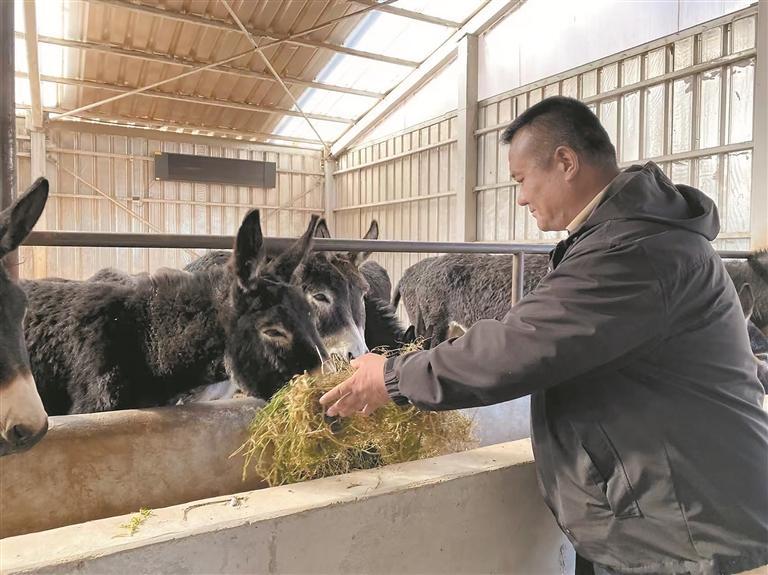 ������ȫ��(hu��)�����ڻ��ӡ���ɫ�B(y��ng)ֳ���W�������Չ�(m��ng)