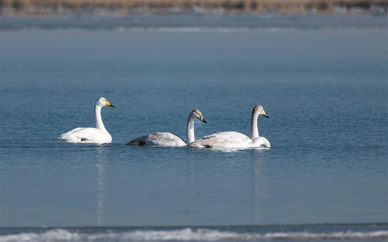 ���B(ni��o)�؝�� ���B(t��i)�L�¾�