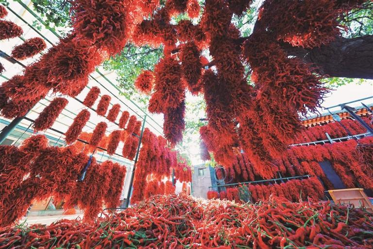 ѭ������������w��̤��̫�����N·